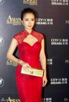 何琳亮相亚洲电影大奖 红裙展成熟魅力