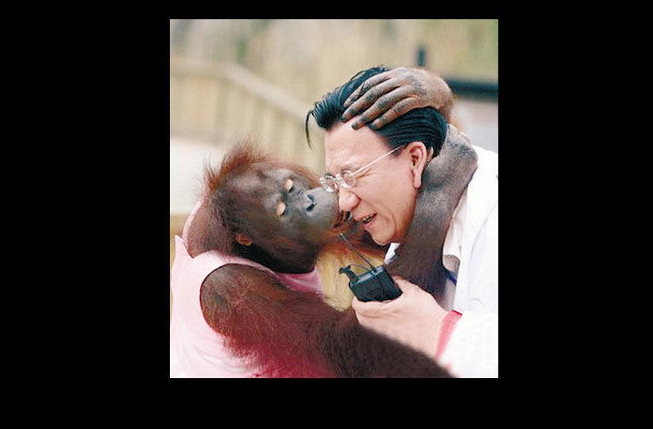 明星那些被定格的瞬间,2007年，侯耀华作为特约主持人录制《勇往直前》时，非常有动物缘，还惨遭大猩猩强吻，让侯老师连喊，“招架不住！”