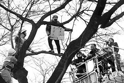 北京协和医院门前一男子上树“卖肾”(图)