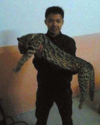 广西宾阳警方改口称“猎杀豹猫”属实