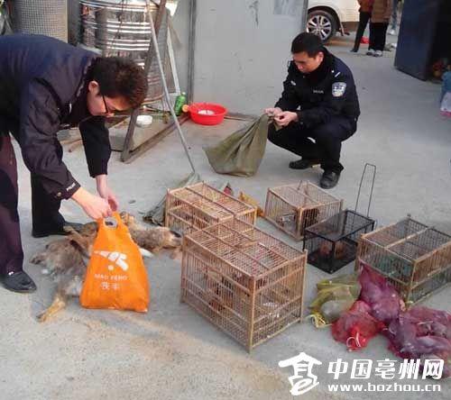 亳州：“狗市”拯救野生动物 兜售者要么逃跑要么耍赖