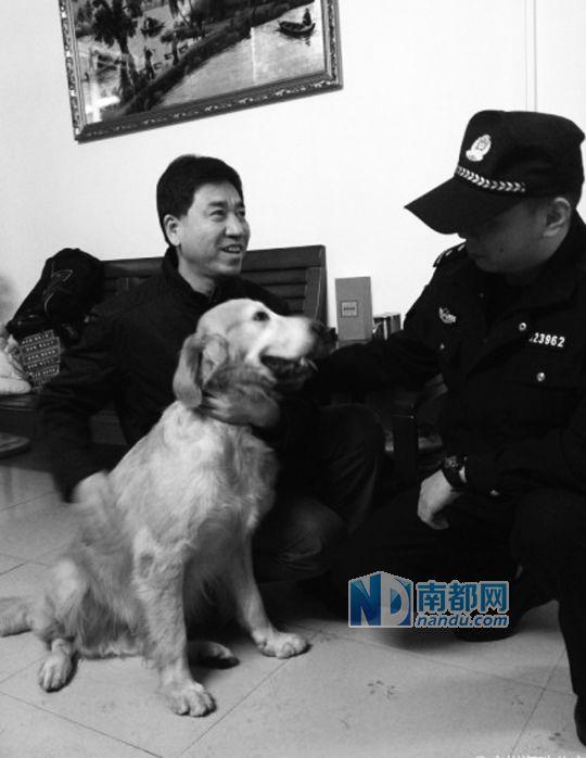 广东唯一导盲犬失踪一天后找到(图)
