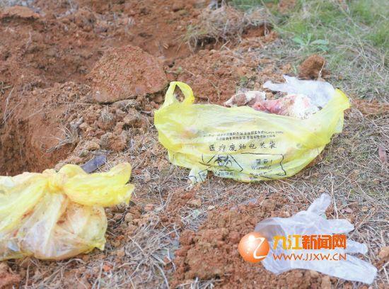 江西九江开发区一公园两天内惊现10多具死胎