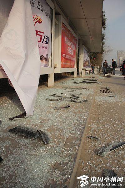 亳州市区公交站台一夜被砸7块玻璃（图）