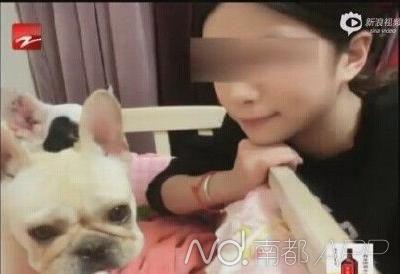温州女子发割腕照求助寻找爱犬 称愿以身相许