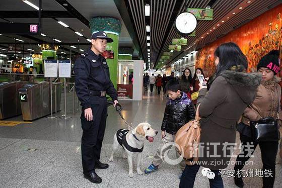杭州地铁公安警犬队又添五只萌物