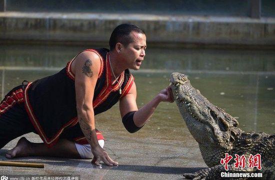 广州公园工作人员亲吻鳄鱼 吸引游客(图)