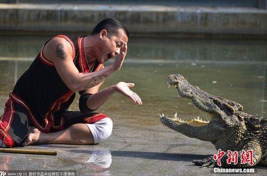 广州公园工作人员亲吻鳄鱼 吸引游客(图)