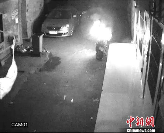 广东惠州警方抓获1名连续9次纵火烧车嫌疑人