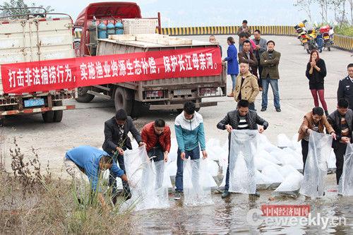 重庆法院监督非法捕捞被告人放养鱼苗24万余尾
