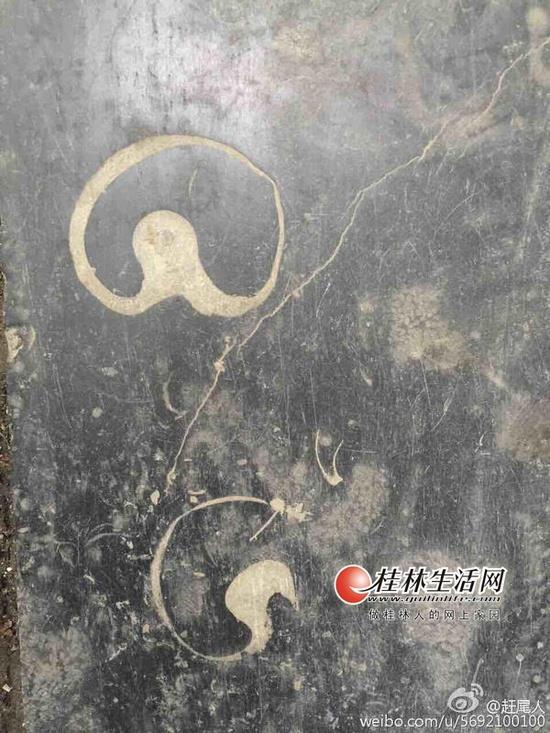 桂林街头地砖上花纹古怪 专家:三四亿年前的化石
