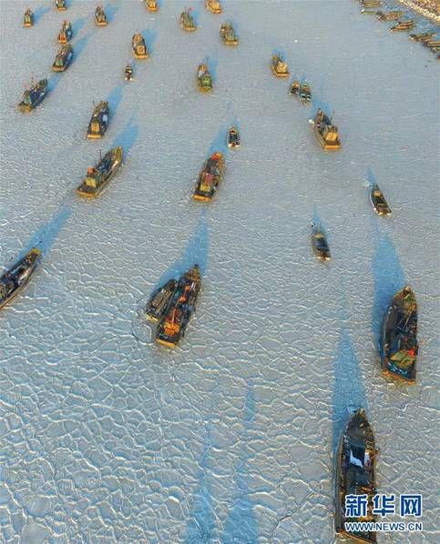 山东码头海冰封冻 大小渔船冻结其中场面壮观