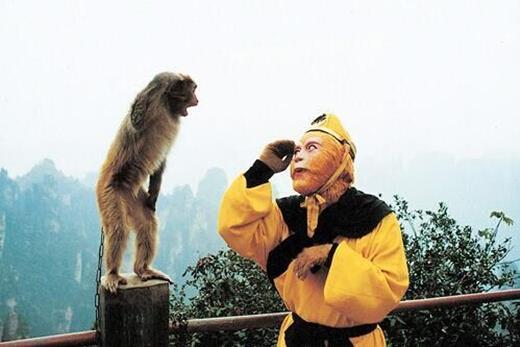 山中的猴子向美猴王致敬