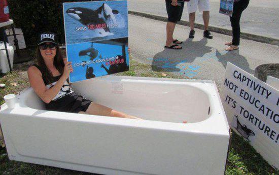 新西兰女子浴缸静坐抗议水族馆圈养虎鲸