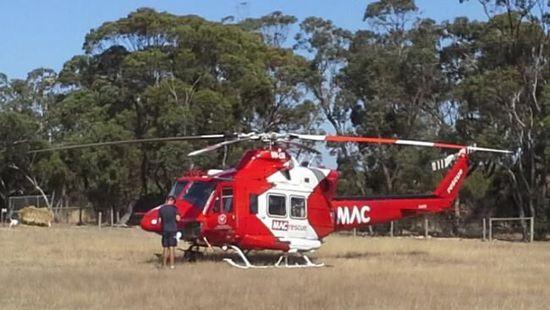 澳洲大力公羊撞坏救援直升机 因直升机闯“地盘”