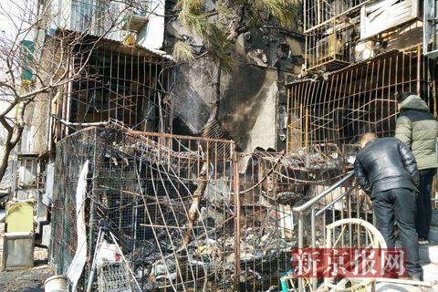 北京猫舍失火18只流浪猫丧命 疑似人为纵火(图)