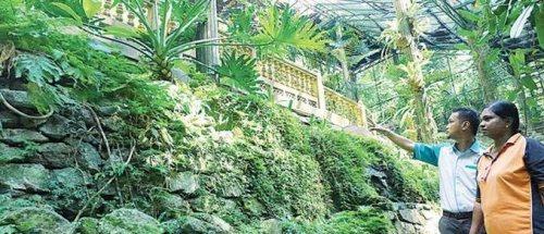 马来西亚槟城植物园现疑日军遗迹 或为申遗加分