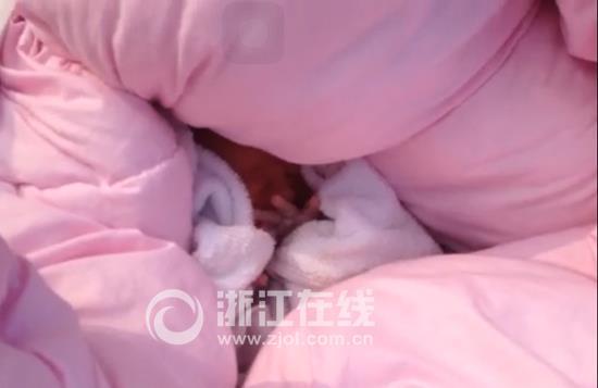 杭州新生男婴被遗弃垃圾桶旁 脐带尚未被剪