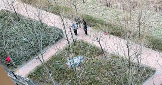 郑州一公园内发现女尸 躺冰冷草丛中(图)