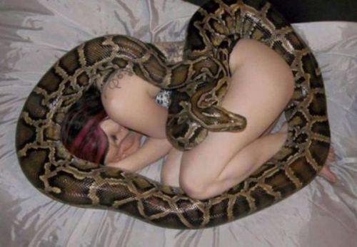 蟒蛇不进食竟是因为这个 蟒蛇缠绕女子入睡 背后真相骇人听闻