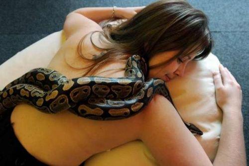 蟒蛇不进食竟是因为这个 蟒蛇缠绕女子入睡 背后真相骇人听闻