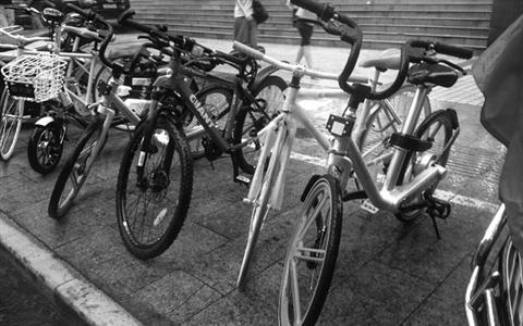 “出生”百天已经火遍大街小巷 摩拜单车讲述沪公共自行车故事