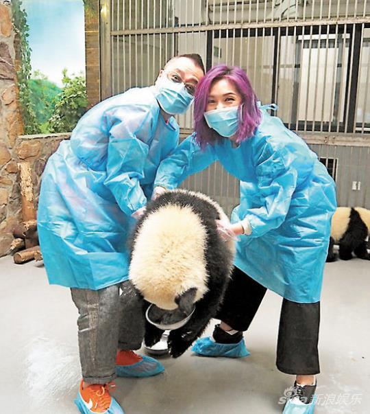 杨千嬅与导演亲大熊猫。