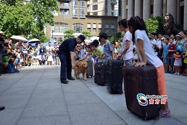  广州海关举办缉毒犬开放日活动 现场搜查行李箱