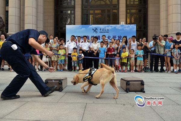 广州海关举办缉毒犬开放日活动 现场搜查行李箱