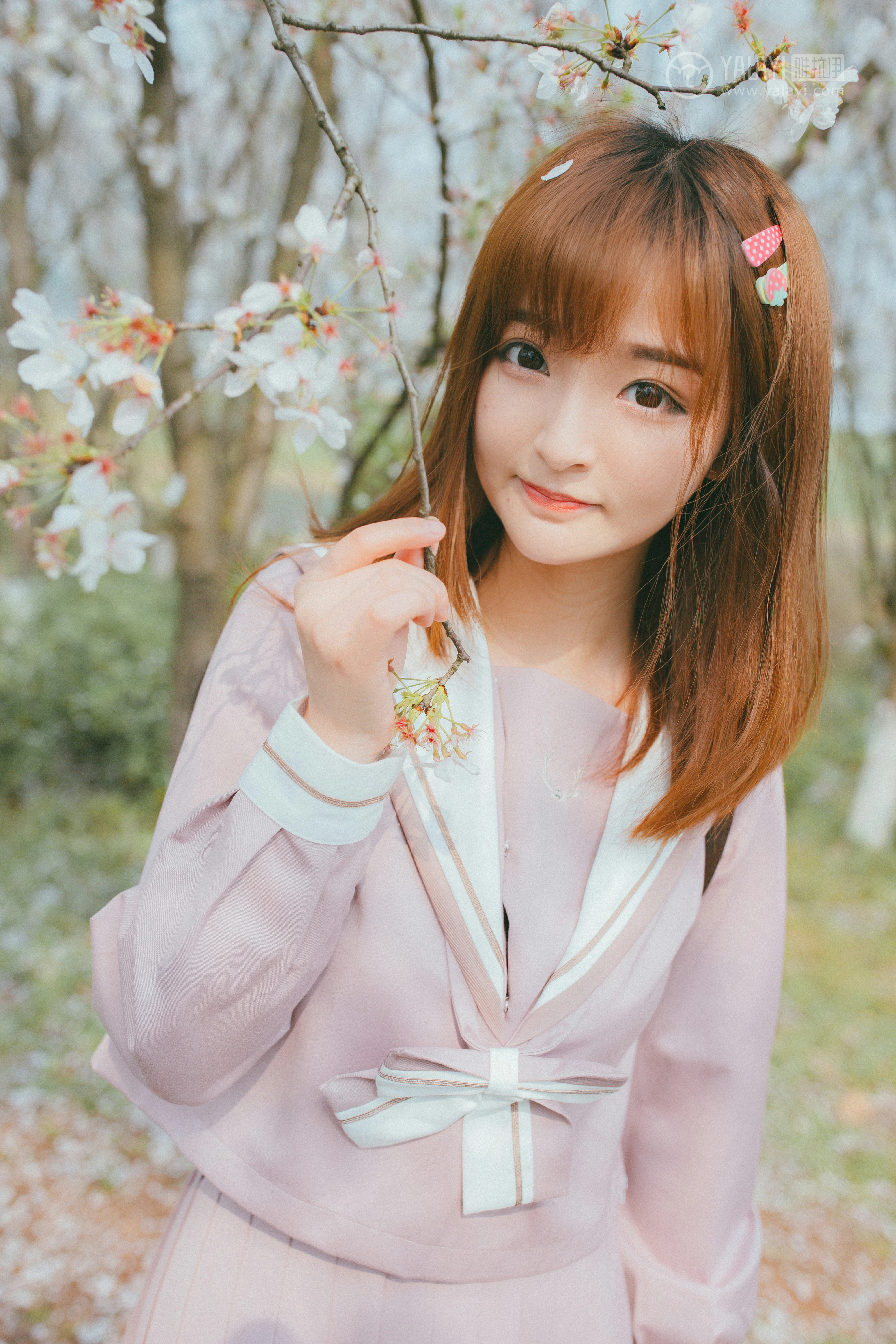 [YALAYI雅拉伊]No.246 樱花樱花想见你 团团 日本高中女生制服加肉色丝袜美腿性感私房写真集,