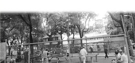 大樟树下，有片杭城最火爆乒乓球场