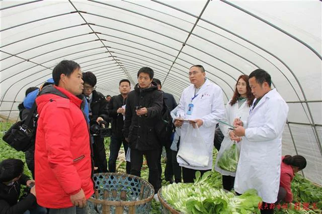 排名第一 ，武汉东西湖获评全省“农产品质量安全区”