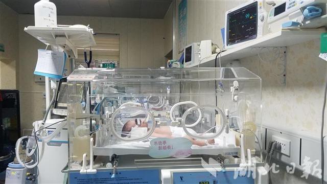 出生仅3天婴儿成为荆州年龄最小器官捐献者