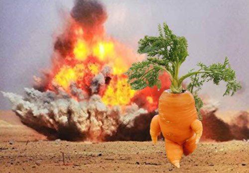 进击的胡萝卜？日本一农场主网上展示趣味蔬菜