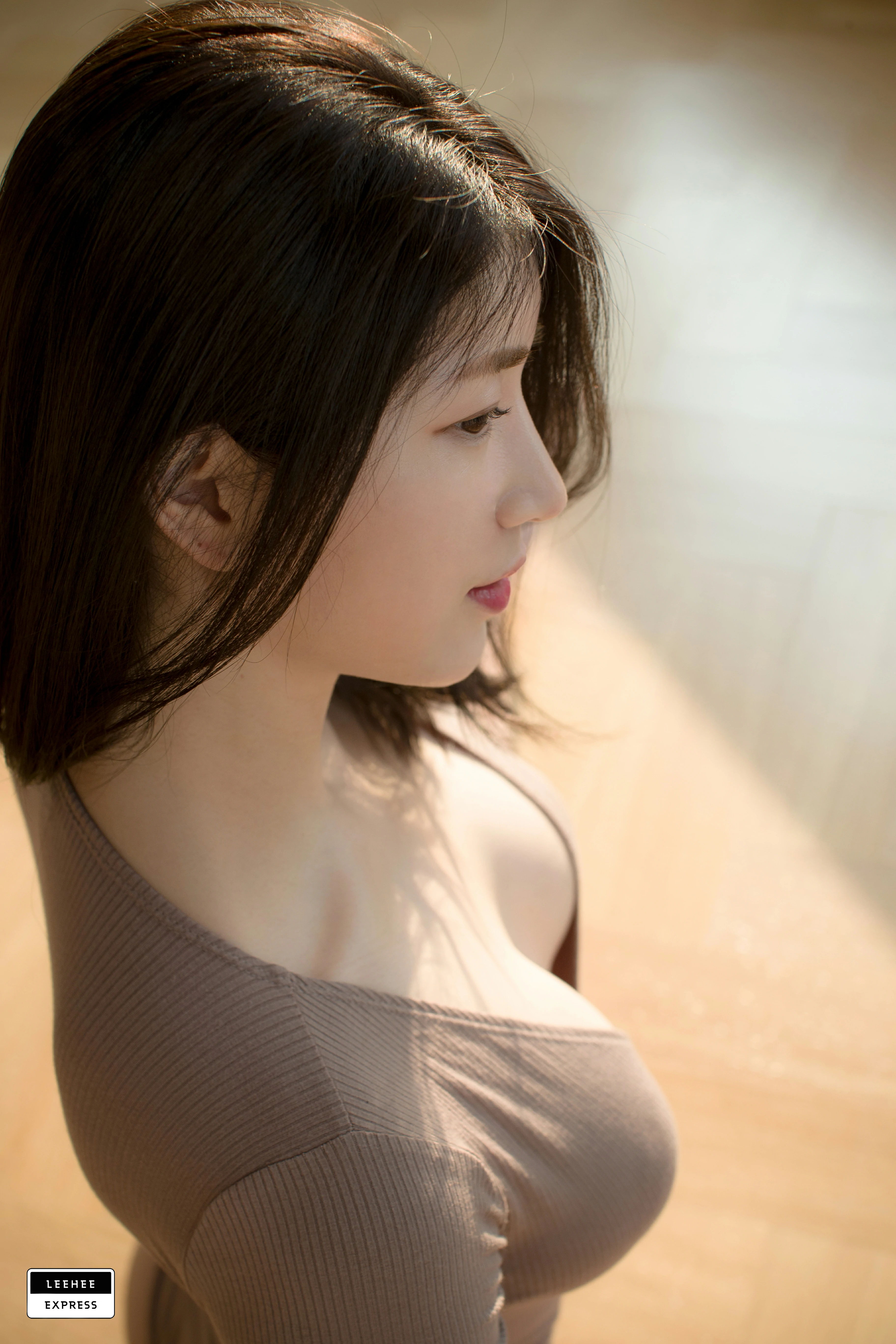[Leehee Express]LEBE-006 Min.E 韩国性感美女 棕色紧身连体上衣私房写真集,0022