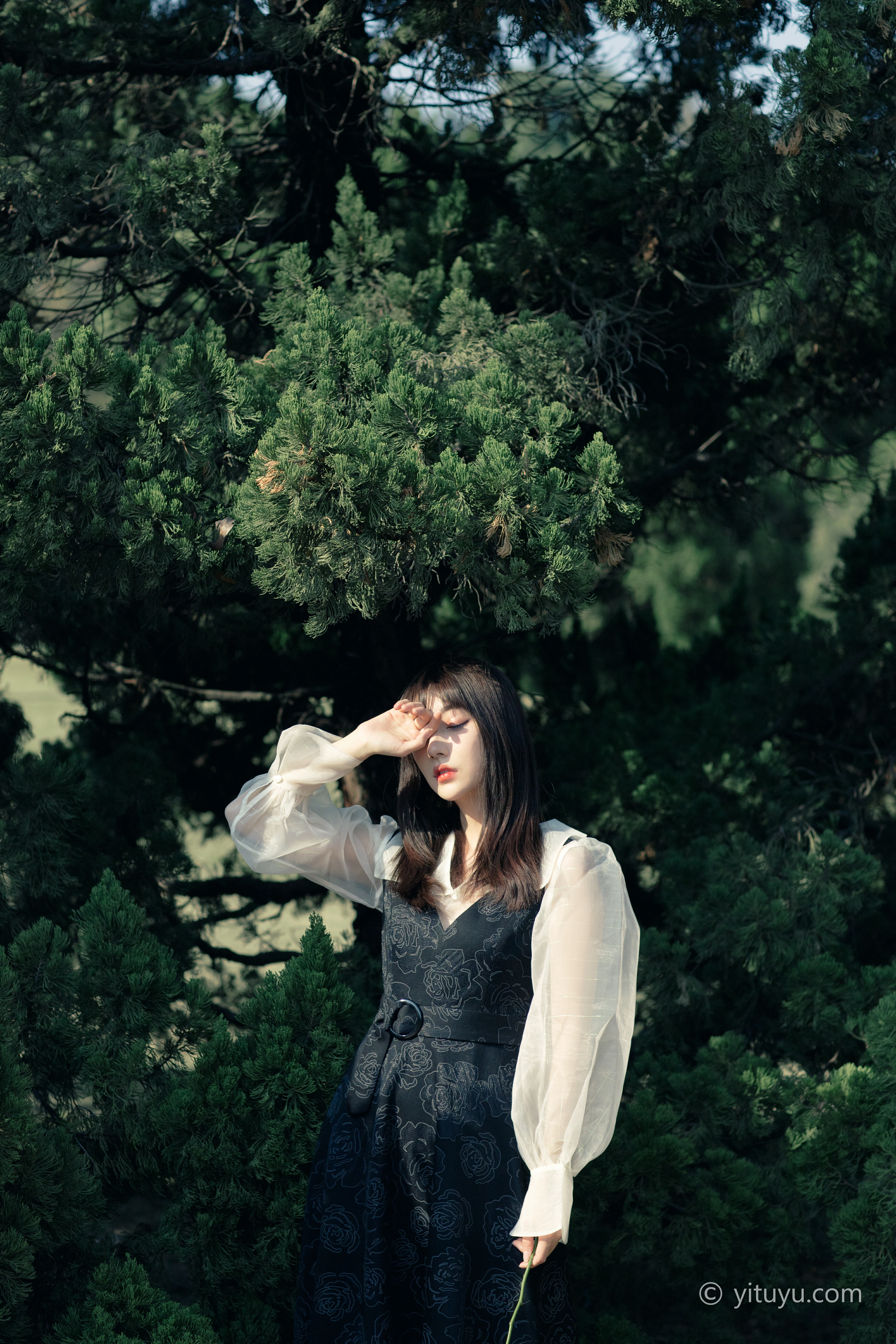 [YITUYU艺图语]2021.03.24 黑玫瑰 星星 白色透视衬衫加蓝色连衣裙清纯写真集,0008