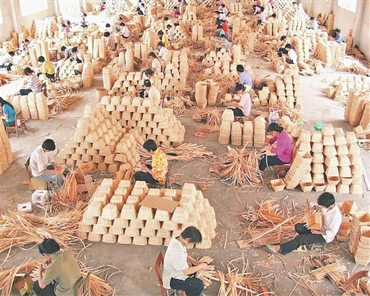 工人们在编织藤制工艺品。（浦北县文化馆供图）