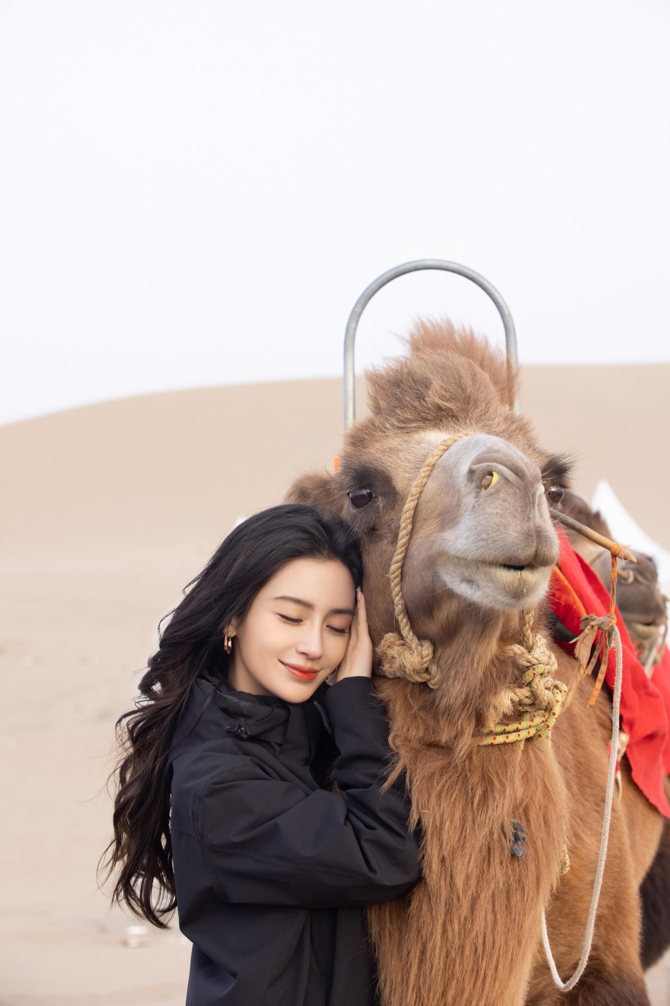 杨颖（Angelababy）现身沙漠与骆驼贴贴 长卷发造型妆容精致,1 (9)