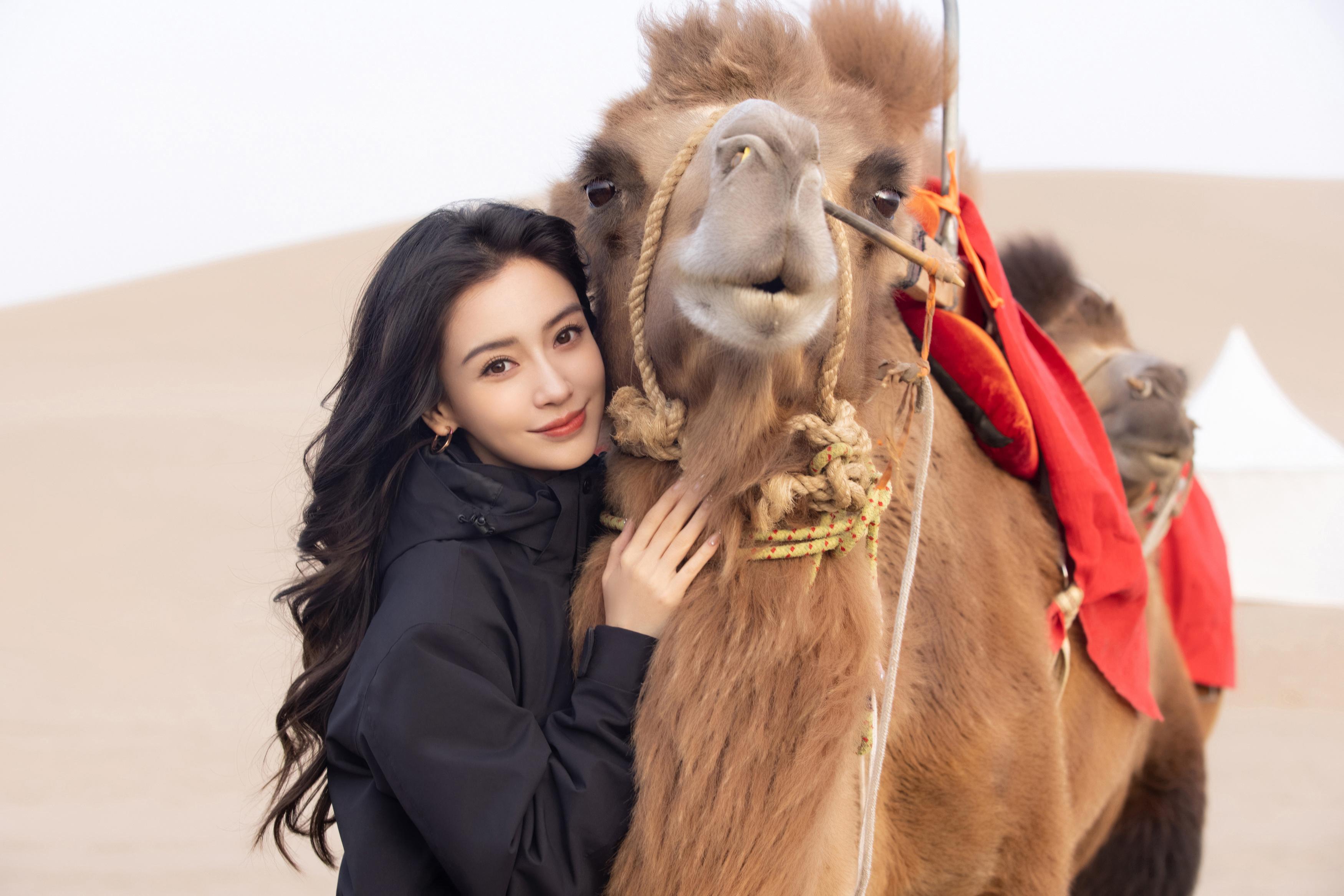 杨颖（Angelababy）现身沙漠与骆驼贴贴 长卷发造型妆容精致,1 (4)