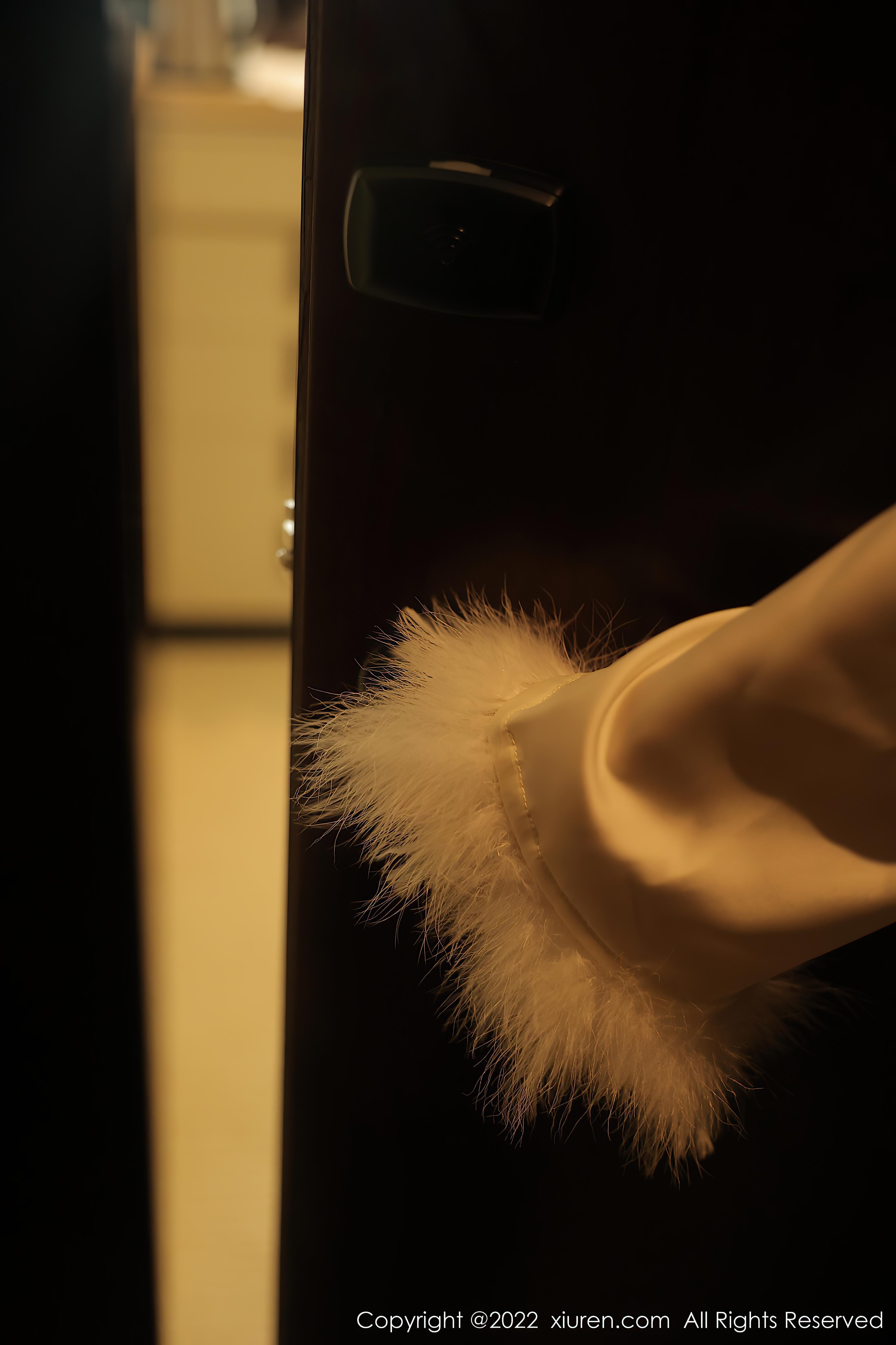 [XiuRen秀人网]2022.10.20 NO.5734 薇薇酱 白色礼服与红色镂空内衣加内丝美腿性感写真集,0011